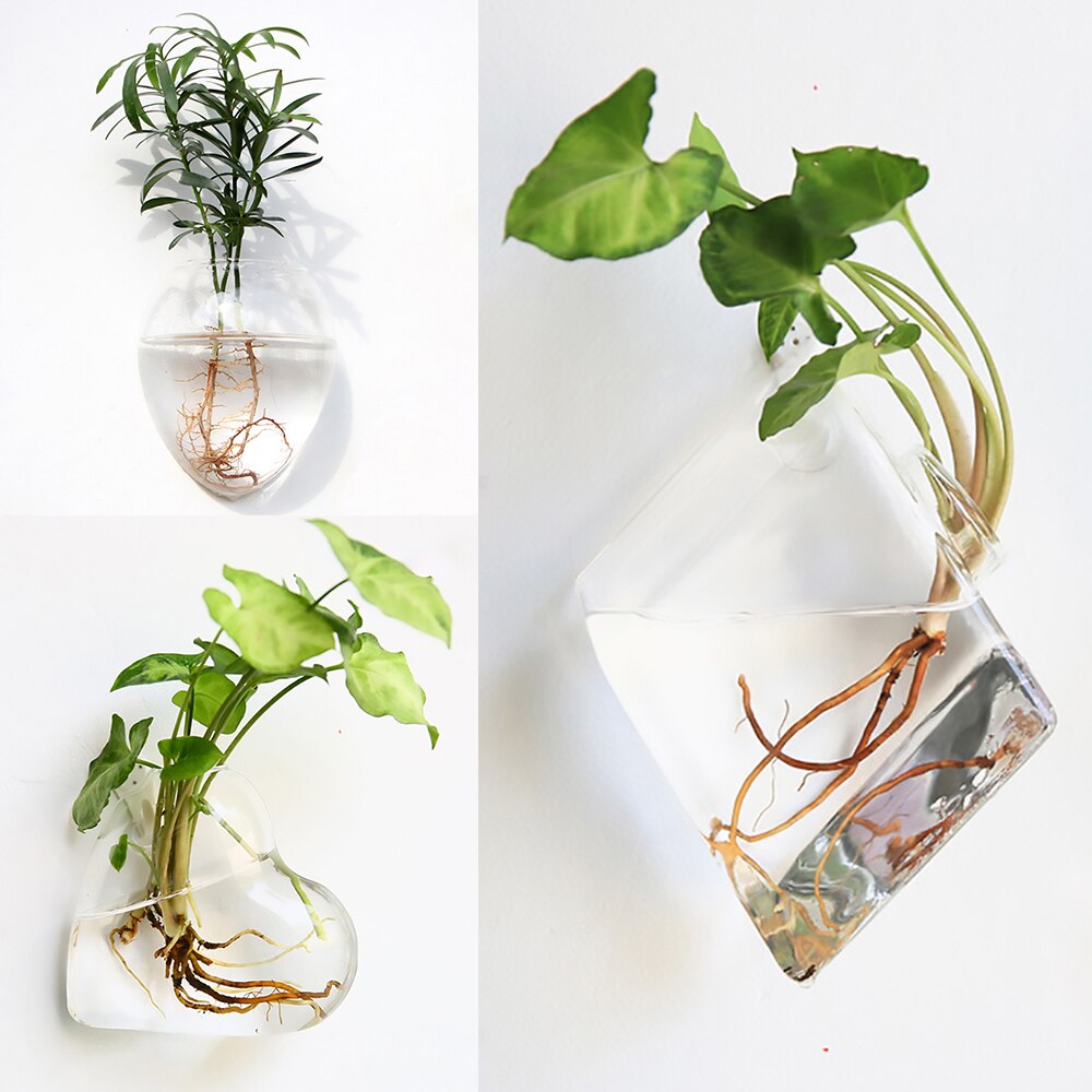 Wall Hanging Glass Vase