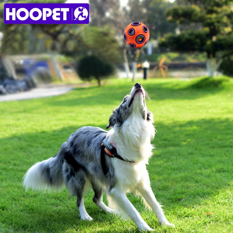 Rubber Ball with Holes for Treats